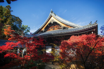 Fototapeta premium Kyoto's Komyoji Temple in late autumn, Japan