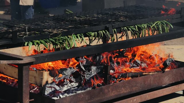 Festival Calcotada in Barcelona, Calcot is a type of green onion. Green onion cooking on the fire.