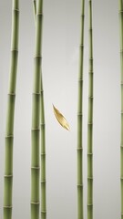 Fototapeta premium Green bamboo stalks with a single yellow leaf against a neutral background 