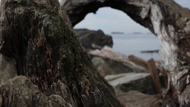 Gimbal close-up shot of driftwood racking focus to ships on English Bay in Vancouver, British Columbia, Canada. 4K at 30 FPS