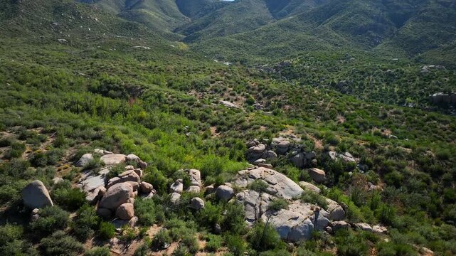 Aerial view of the rugged Four Peaks Wilderness, showcasing the contrasting textures of rocky outcrops and lush green vegetation, Apache Junction, Arizona, United States.