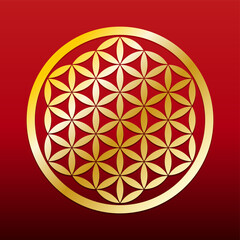 Golden Flower of Life on a red gradient. Gold colored geometric figure of overlapping circles forming a mandala and flower-like symmetrical pattern. Ancient spiritual symbol of Sacred geometry. Vector