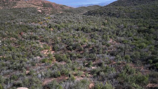 Aerial view of the rugged Four Peaks Wilderness, where the arid landscape meets the distant blue mountains, creating a beautiful contrast, Apache Junction, Arizona, United States.