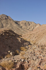 Rocky desert valley with dry stream bed and mountains under clear blue sky
