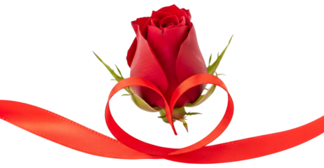 Wildflower Bouquet with Daisies, Poppies, Lavender, Red Bow, and Heart Gift Tags