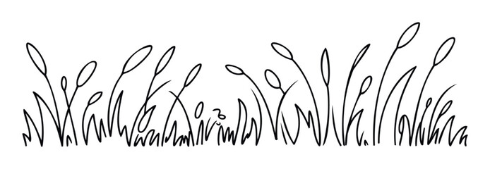 Black ink outline of wild grass and reeds swaying gently in the wind, perfect for nature themed websites, ecological projects and organic branding purposes