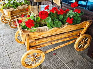 Bright red flowers in wooden carts decorate a cozy outdoor space at a quaint cafe