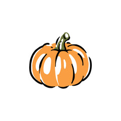 Healthy food vector illustration pumpkin in a hand drawn style. Perfect for nutrition, diet content, meal prep, and educational design.