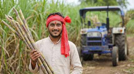 Smiling Indian farmer proudly holds fresh sugarcane in his field.