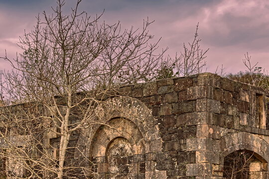 Overgrowth vegetation, stone remains of the stables and sawmill of the Caisteal Dh&ugrave;n Bheagain estate, seat of Clan MacLeod. Dunvegan-Skye-Scotland-145