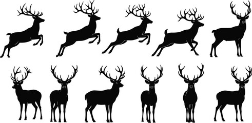 deer, antler, silhouette, wildlife, animal, vector, leaping, standing, motion, black, icon, nature, stag, pose, forest, deer silhouette, antler pose,