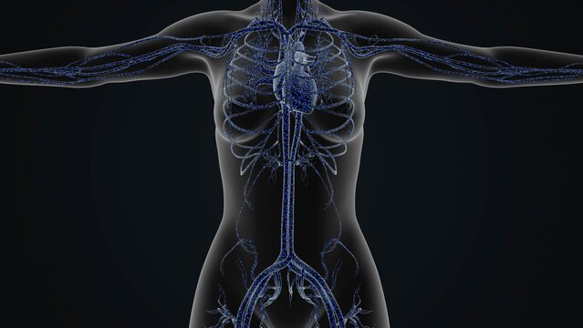 Circulatory Manifestations of Diabetic Ketoacidosis