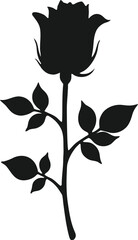rose vector illustration