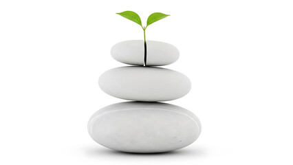Growth and balance: green sprout from stacked white stones