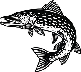 Realistic pike fish illustration vector design