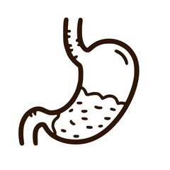 Human stomach digestive organ medical icon