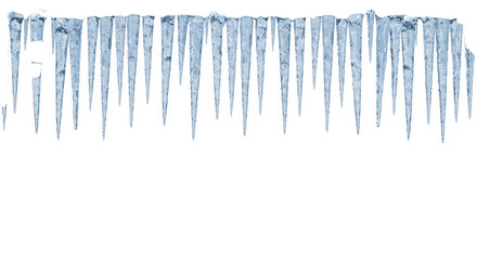 highly detailed, transparent icicles showing blue subsurface scattering, hanging vertically against a vast, transparent studio backdrop with copy space. concept of severe winter cold and purity