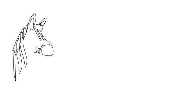 Animation of continuous line drawing of a zebra raising its hoof to greet, designed as an animal concept vector illustration for Say Hi Day, reflecting friendly connection. Full length motion