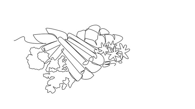 Animation of continuous line drawing showing herbs and spices arranged together, symbolizing natural seasoning and flavor, a food concept for National Herbs and Spices Day theme. Full length motion