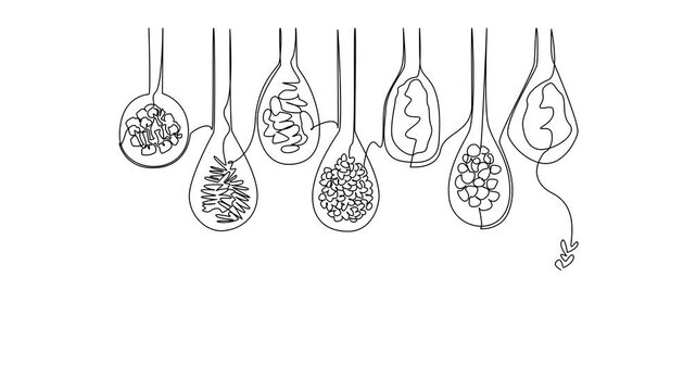 Animated self drawing of single line drawing featuring spoons filled with various herbs and spices, concept animation for National Herbs and Spices Day celebration. Full length single line animation