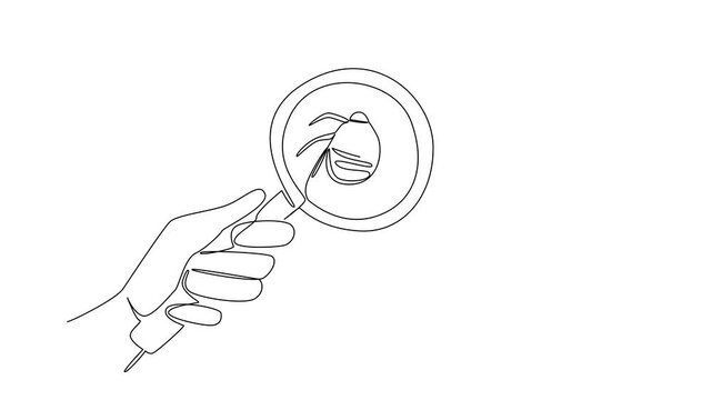 Animated self drawing of single line drawing a magnifying glass focused on a bed bug over a mattress and health concept for National Bed Bug Prevention Day artwork. Full length single line animation