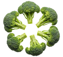 Six fresh green broccoli florets arranged in a circle isolated on transparent background for healthy eating concept