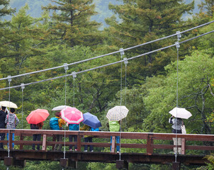 雨の日の観光名所上高地の河童橋の上の観光客の姿