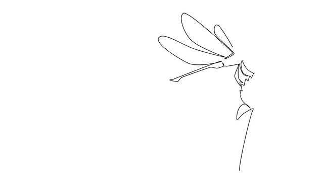 Self drawing animation of single line drawing of a dragonfly resting atop a blooming flower petal, symbolizing renewal and beauty. This nature themed for National Dragonfly Day. Full length animated
