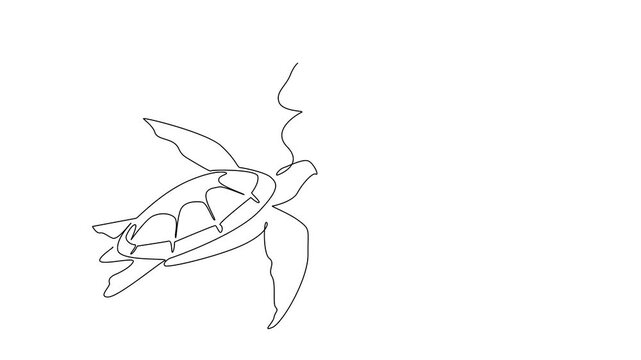 Animated self drawing of continuous line drawing of a sea turtle swimming near a drifting plastic bag for World Oceans Day with a strong environmental nature concept. Full length single line animation