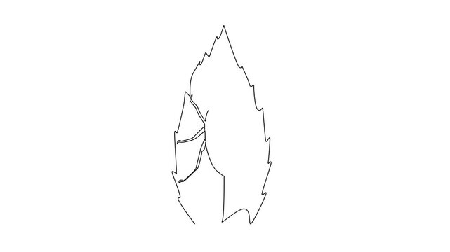 Self drawing animation of one line drawing of a june bug resting on a leaf, symbolizing nature concept and biodiversity for June Bug Day, highlighting insects&rsquo; role in ecosystems. Full length animated