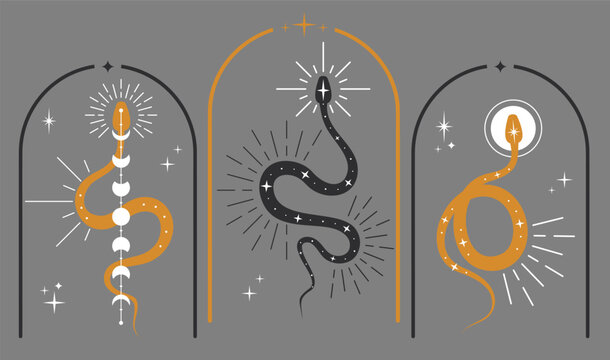 Set of mystical celestial snakes. Boho snakes with moon, stars and sun. Collection of spiritual occultism symbols, esoteric objects. Design for tattoo, print. Serpents and magic witchy symbol Vector
