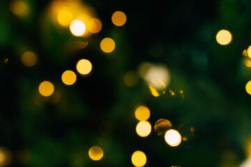 Golden bokeh lights on dark green background creating festive atmosphere