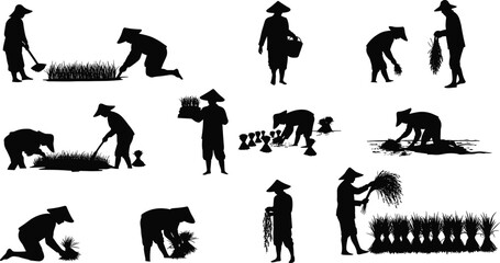 Rice farming silhouettes with traditional hats, agricultural labor poses, rural field work illustration for culture, education, and design useRice farming 