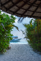Resort beach in Maldives