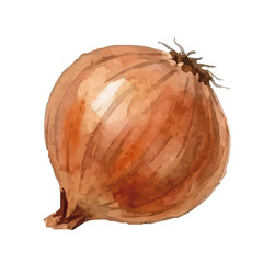 Watercolor-style onion illustration／玉ねぎ