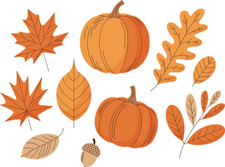 Autumn illustration set featuring pumpkins, fall leaves, acorn, foliage elements, seasonal decorations perfect for Thanksgiving, harvest, cozy autumn design themes