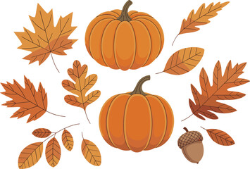 Autumn illustration set featuring pumpkins, fall leaves, acorn, foliage elements, seasonal decorations perfect for Thanksgiving, harvest, cozy autumn design themes