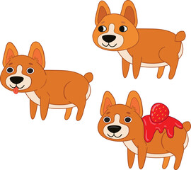 Corgi in various poses.