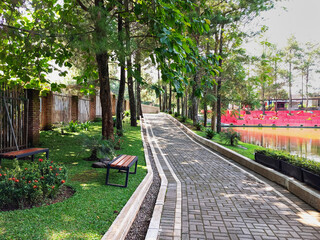 Fototapeta premium Quiet shaded pathway in a peaceful park