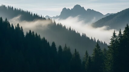 Dramatic mountain landscape with dense pine forest and misty cloud cover