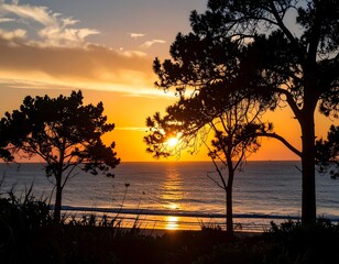 Sunrise over the ocean with silhouettes of trees