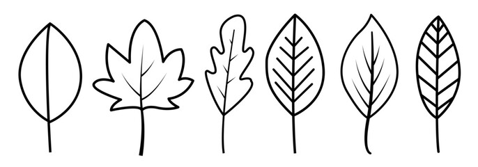 Minimalist hand-drawn leaf collection featuring multiple organic forms and linear vein details. Perfect for botanical themes, eco materials, educational projects