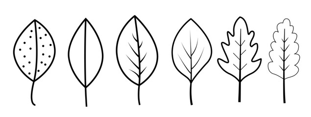 A set of hand-drawn leaf illustrations showcasing diverse botanical shapes with clean black-and-white line art. Ideal for nature themes, eco branding