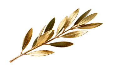 Golden olive branch representing peace and victory in a symbolic way