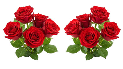 Obraz premium Two bouquets of red roses with green leaves on a black and red striped background flowers floral