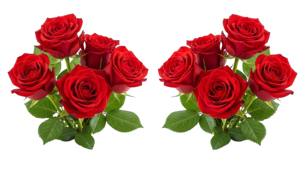 Two bouquets of red roses with green leaves on a black and red striped background flowers floral