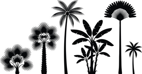 Tropical palm tree silhouettes collection illustration, exotic jungle plants and banana leaves set, nature landscape design, cad drawing flat vector illustration
