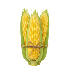 Fresh yellow corn cobs tied together with rope, sweet corn kernels closeup, natural farm vegetable, organic maize ears with husk, healthy seasonal harvest produce isolated