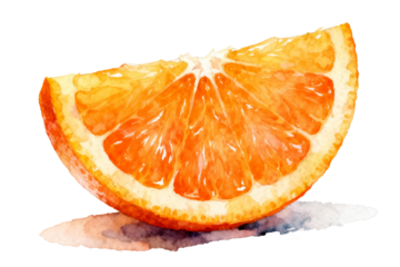 Watercolor painting of a fresh orange slice with vibrant colors