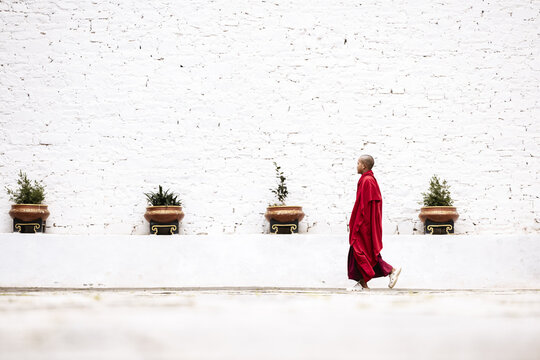 Paro, Bhutan - 17 September 2025: View of a solitary monk in vibrant red robes walks with purpose against the stark, textured white walls of Rinpung Dzong.